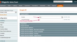 enable-google-analytics1